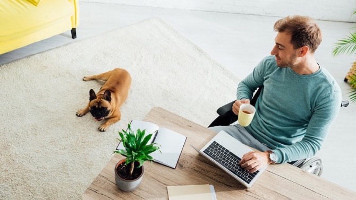 Homeoffice: Jak si co nejlépe zařídit domácí pracovnu, Studio Evalofa