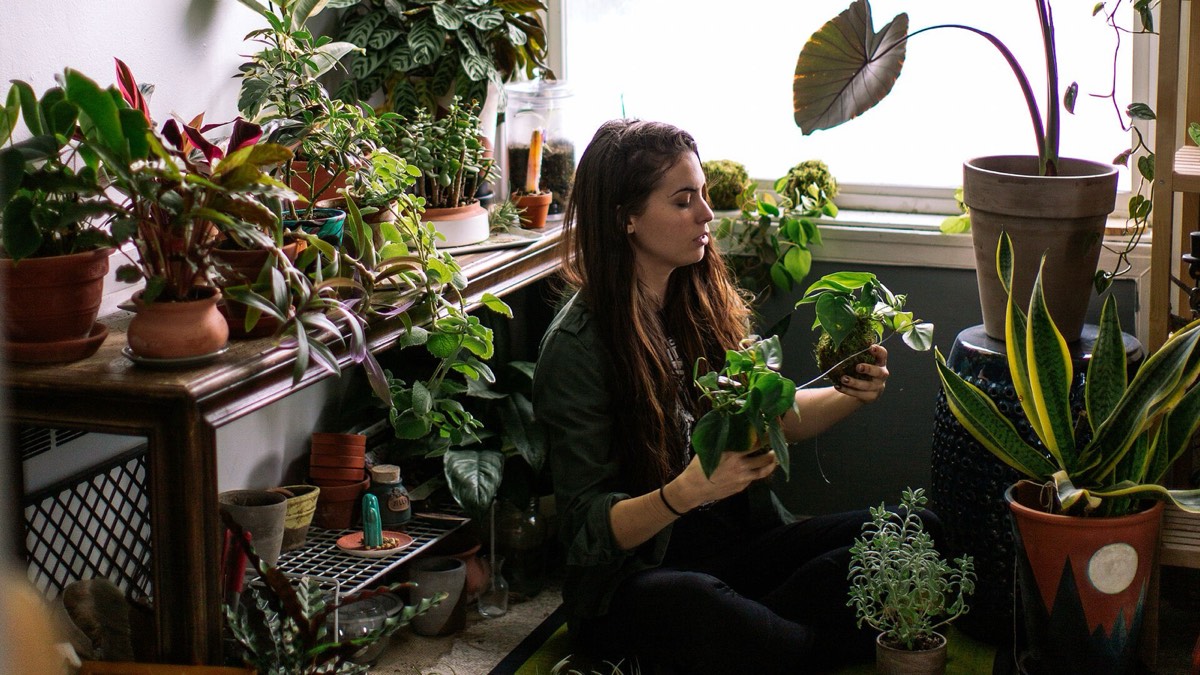 Listy, co změní život aneb Urban Jungle do každého bytu! Které rostliny jsou nejvhodnější?, Studio Evalofa