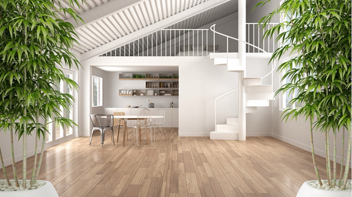 Vánoční feng shui: Jak na harmonický prostor pro sváteční chvíle, Studio Evalofa